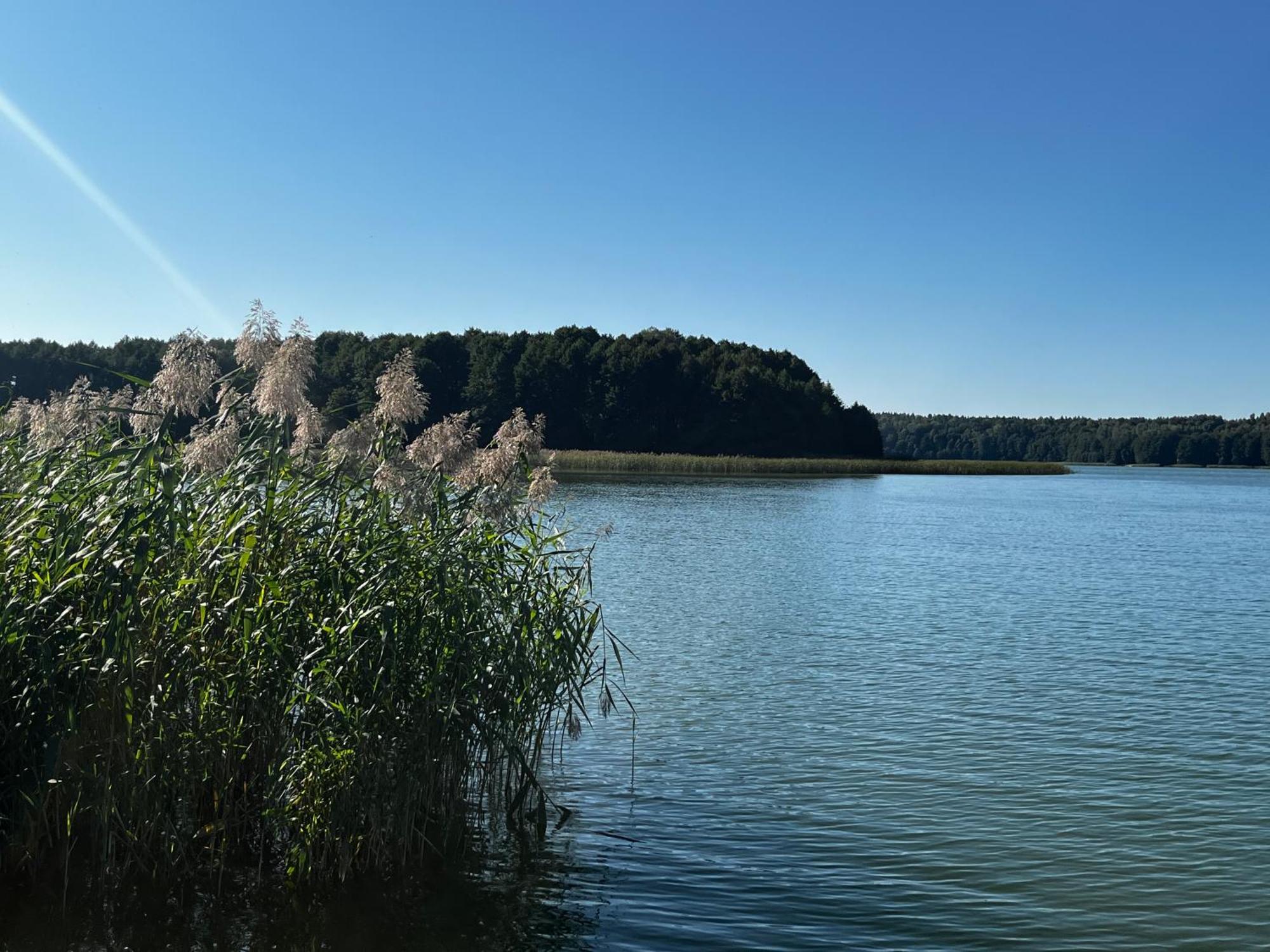 Willa Mazurydreamhouse Pelnik Zewnętrze zdjęcie